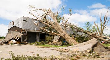 business after tornado with large tree on roof